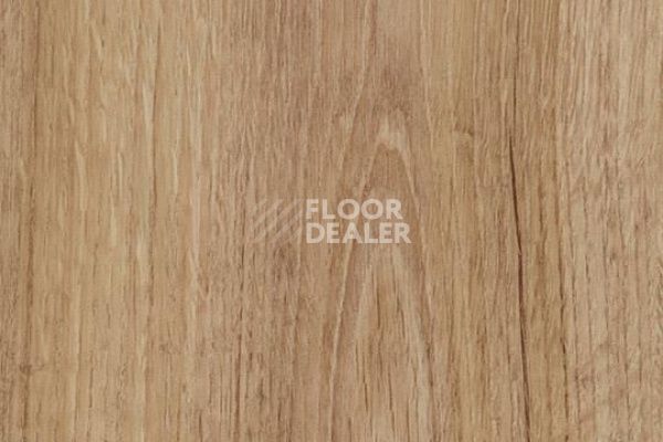 Виниловая плитка ПВХ FORBO Allura Decibel 8WAU04-3WAU04 classic authentic oak фото 1 | FLOORDEALER